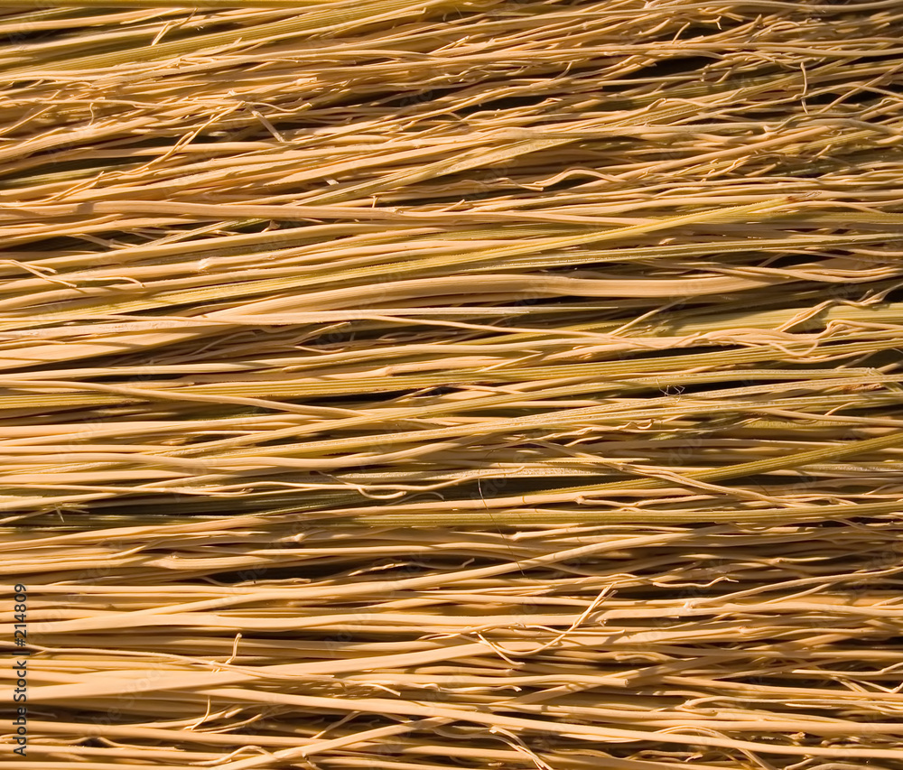 broom bristles broom bristles