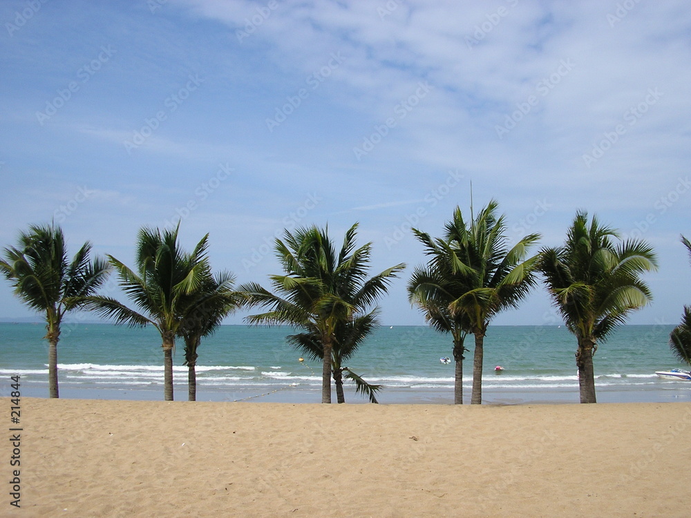 plage et palmiers
