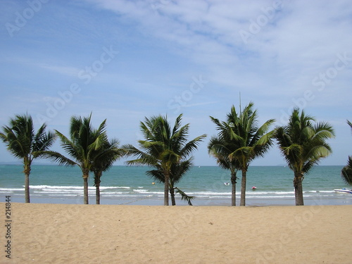 plage et palmiers © Gautier Willaume