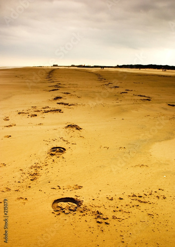 hoof marks in the sand