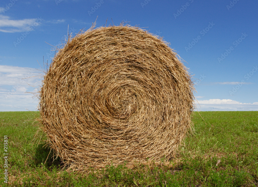 hay bale
