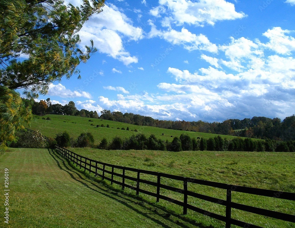 fence in field