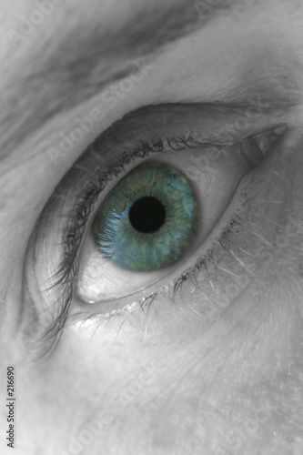 blue eye, macro
