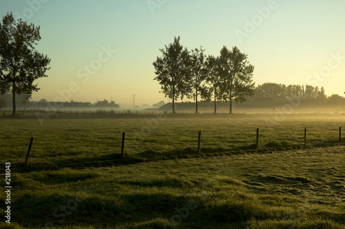morning landscape