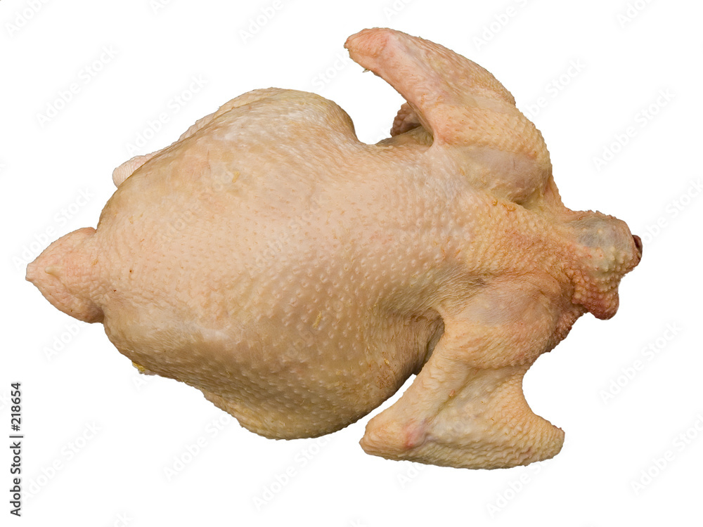 Fotografie chicken