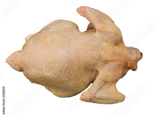 Fotografie chicken