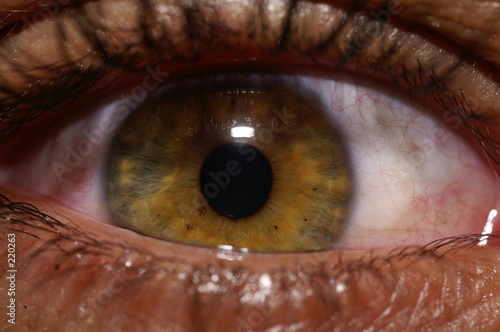 oeil photo