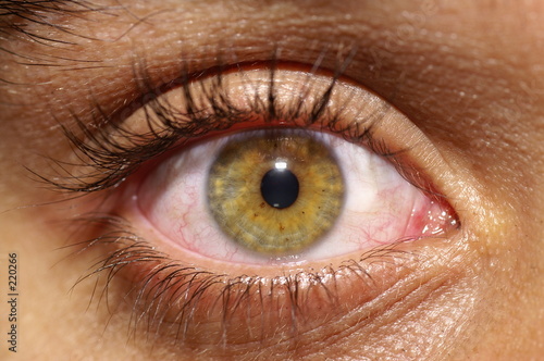 regardez l'oeil