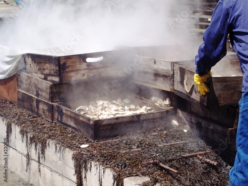new england clambake and cook.
