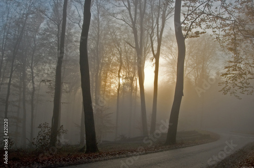 teuto im nebel