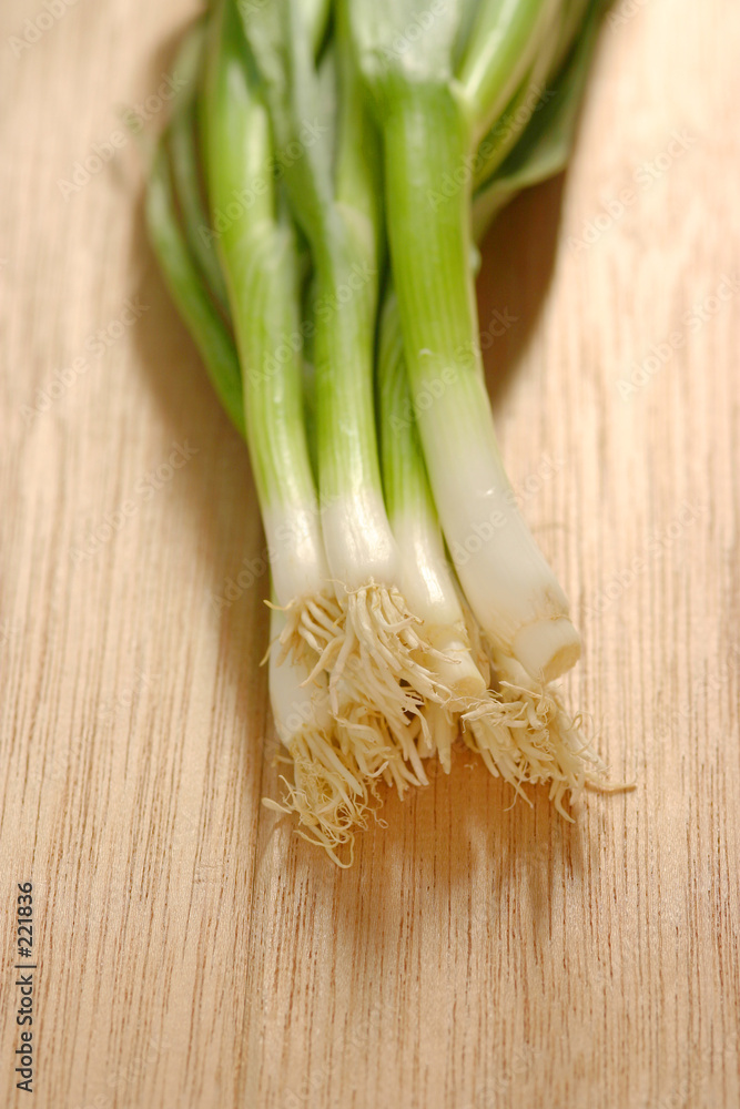 lauch lauch