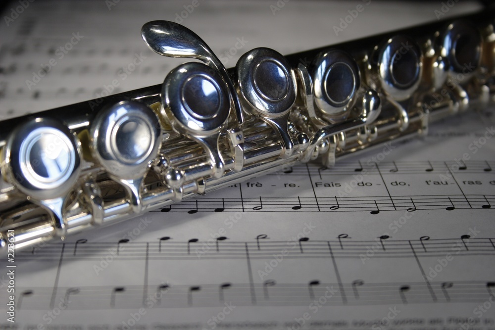 Fototapeta premium querflöte 1