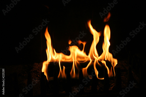 burning log photo