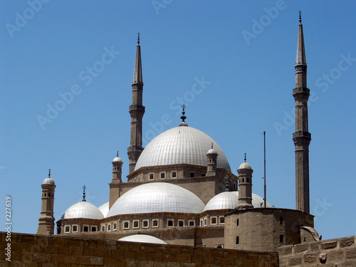mezquita mohammed ali photo