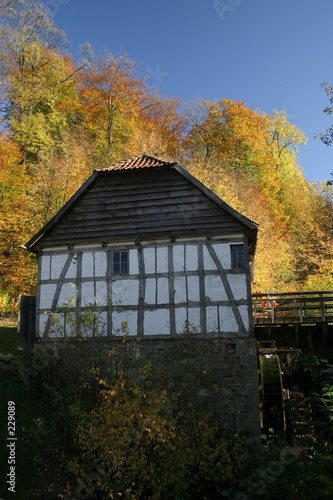 wassermühle im herbst
