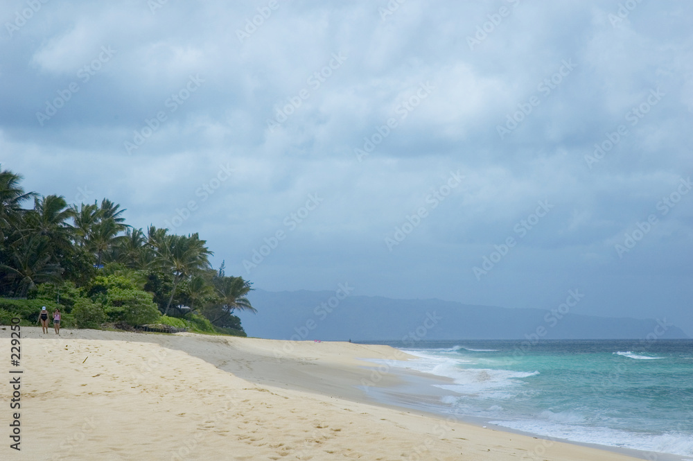 hawaiian beach