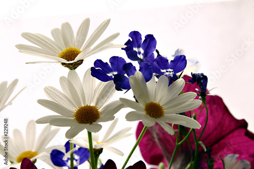 decoration
