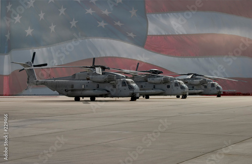 warbirds