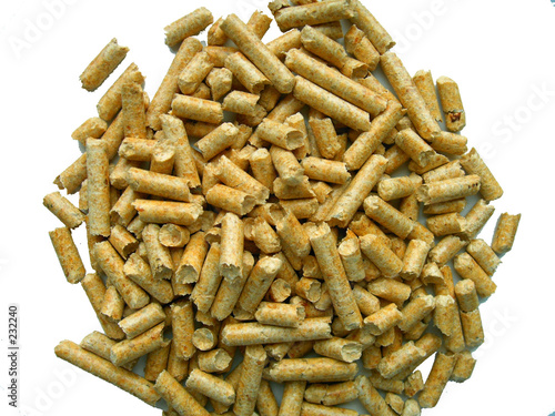 pellets photo