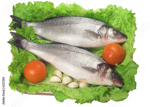 lubinas