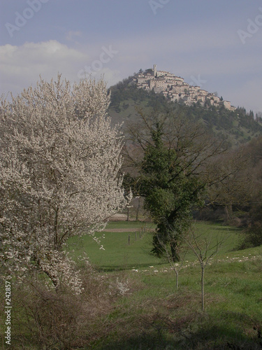 Photos labro