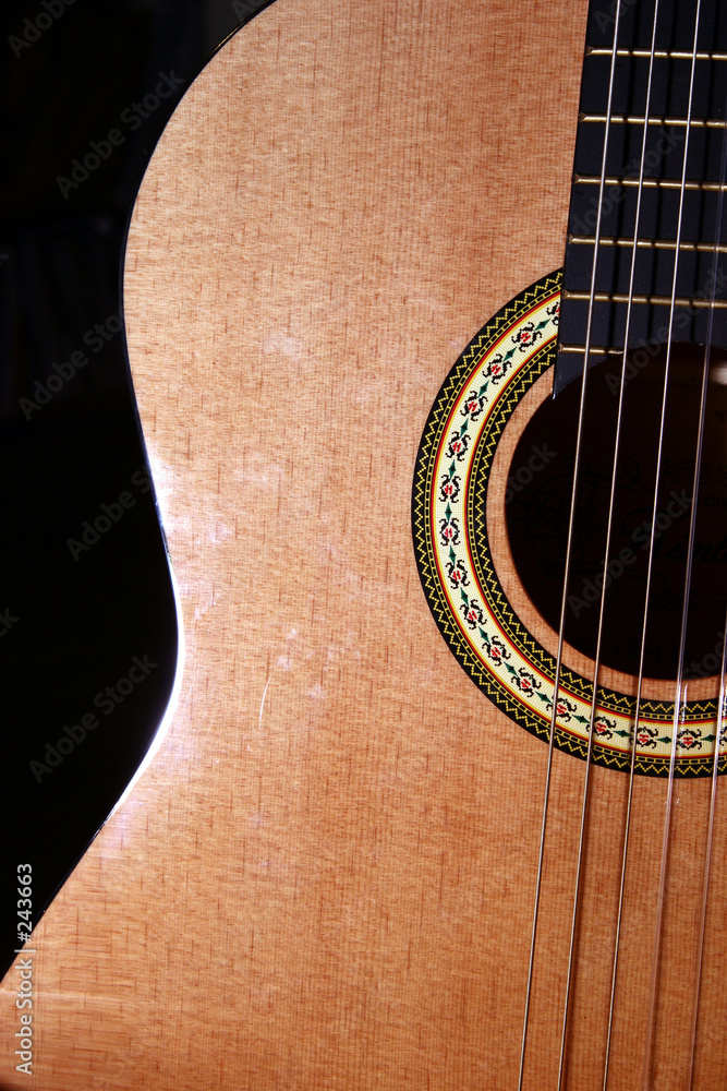 Obraz premium guitar