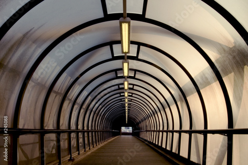 perspex tunnel walkway photo