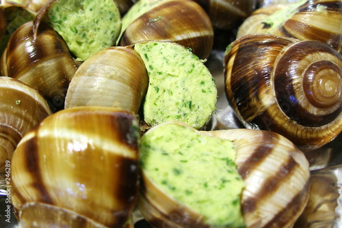 escargot