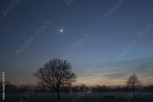 night sky