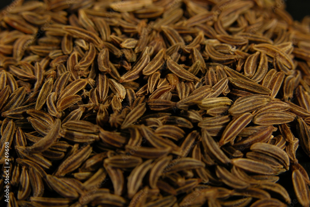 kümmel kümmel