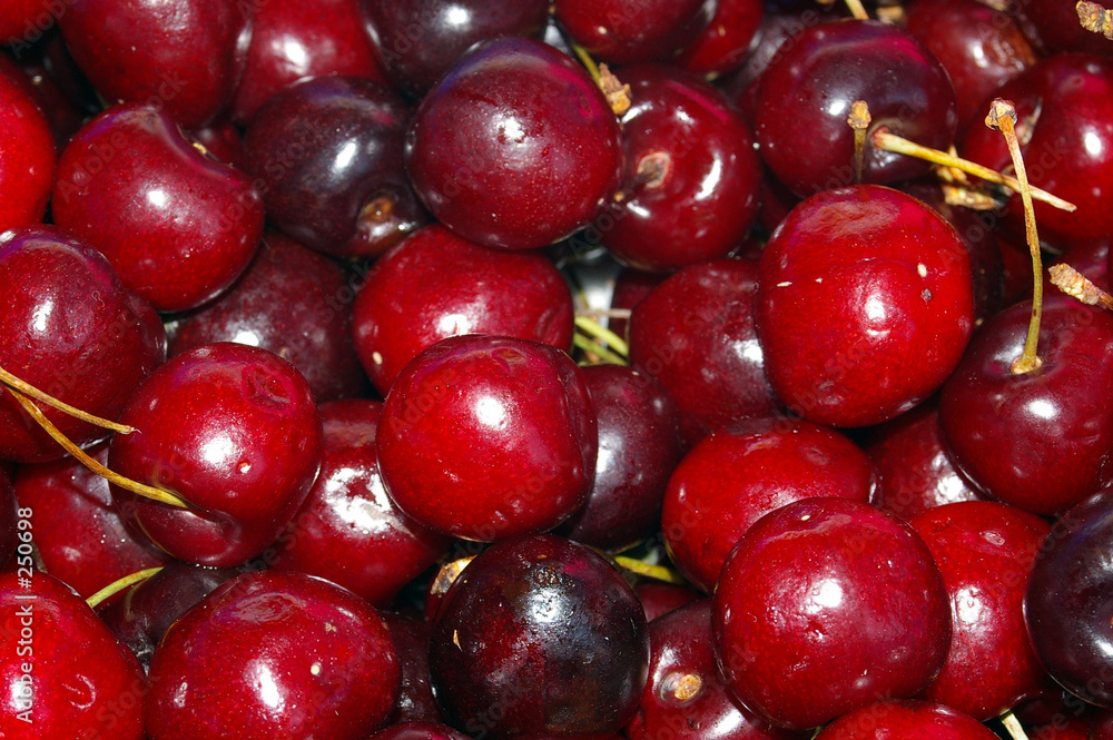 cherries 01 cherries 01