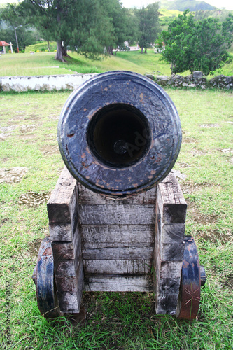 cannon barrel