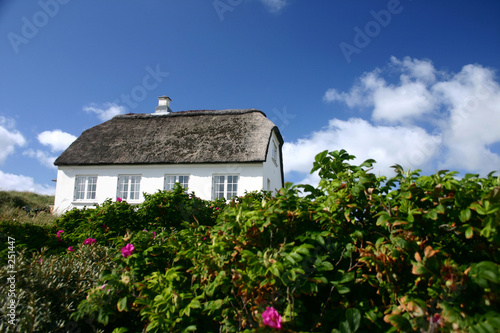 house in denmark