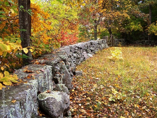 Fotografie stonewall in autumn.