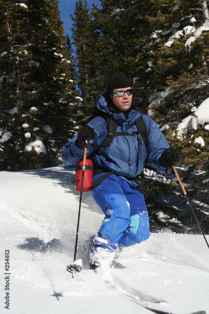 telemark skier