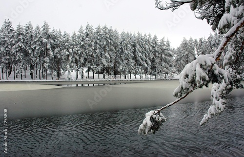 zlatibor photo