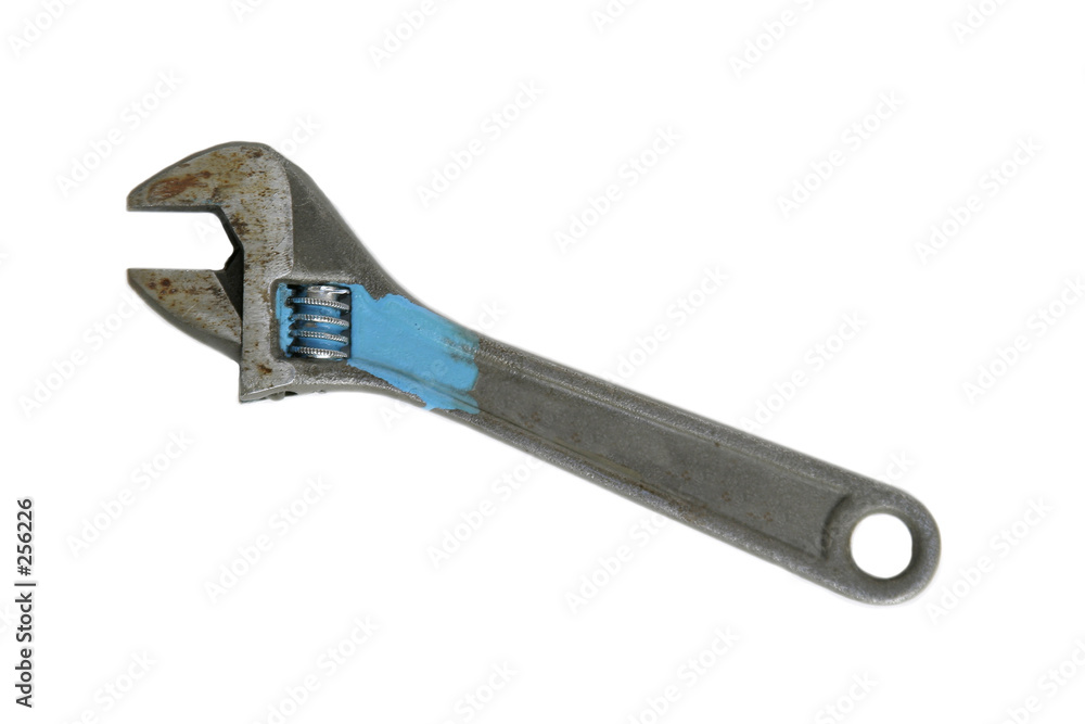 Obraz premium monkey wrench