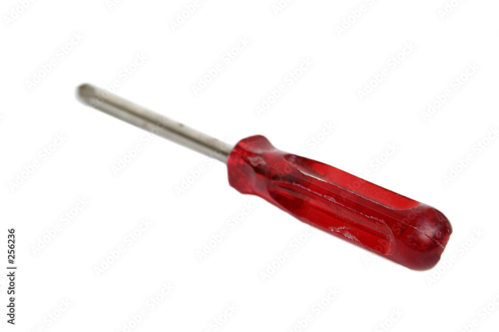 Fototapeta premium screwdriver