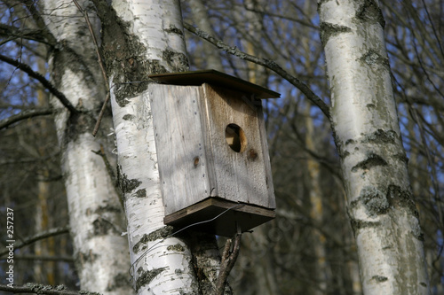 bird house