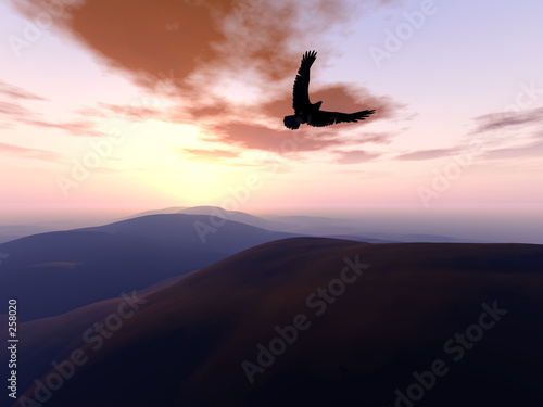 eagles flight 3