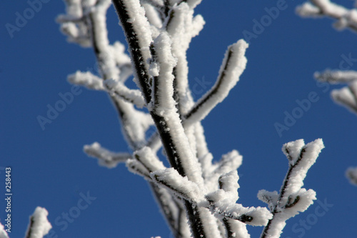winter impressions 001