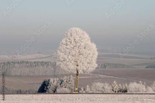 winter impressions 002
