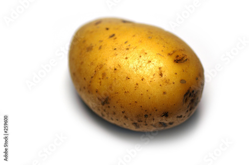 potato