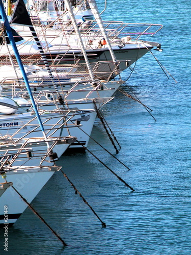 anchored sailing boats