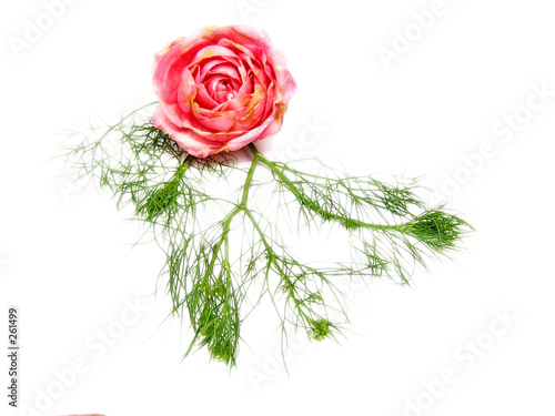 fleur