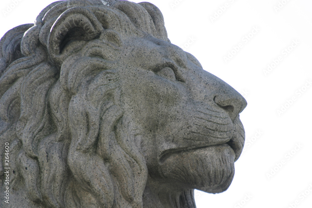 lion statue detail