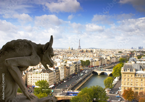 Fotografie, Tablou gargoyle over paris