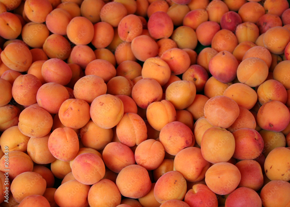 apricots for sale