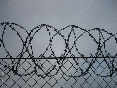barbed wire