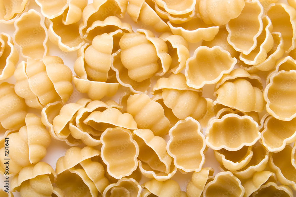 sea shell pasta background sea shell pasta background